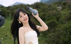 日本漫画大全之无彩翼漫